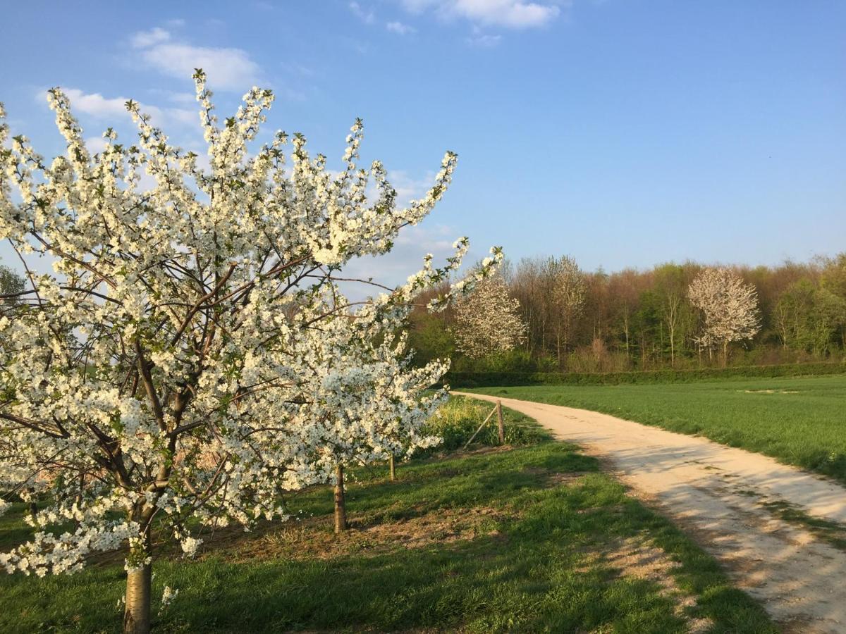 Belle Vue Vakantieappartement Genoelselderen Buitenkant foto